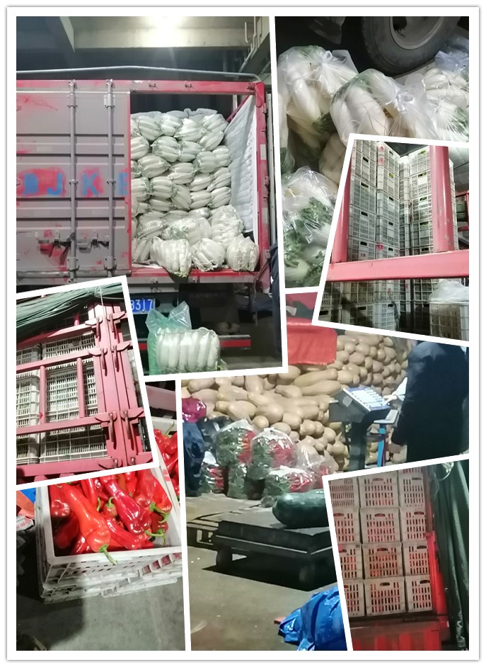 w66.利来(中国区)_来利国际旗舰厅