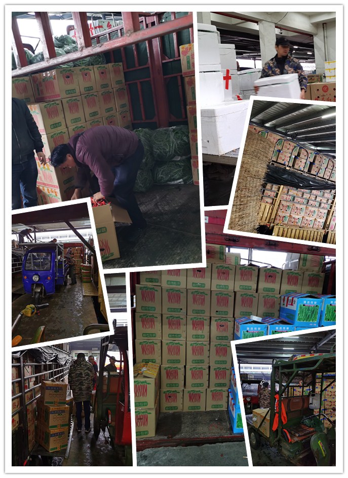 w66.利来(中国区)_来利国际旗舰厅