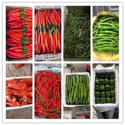 w66.利来(中国区)_来利国际旗舰厅