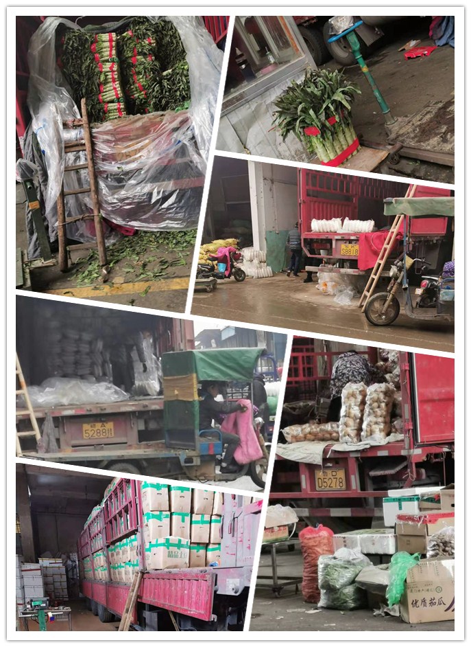 w66.利来(中国区)_来利国际旗舰厅