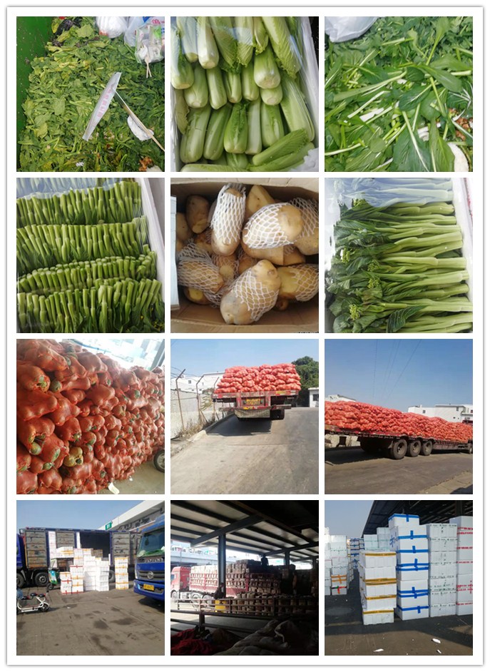 w66.利来(中国区)_来利国际旗舰厅