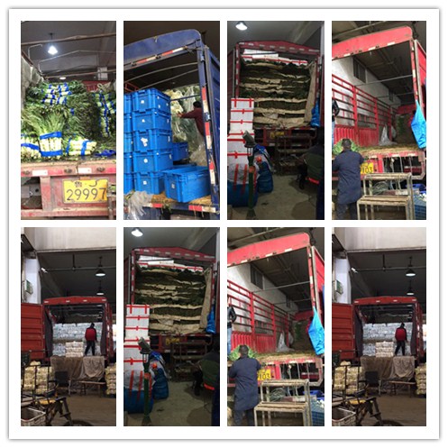 w66.利来(中国区)_来利国际旗舰厅