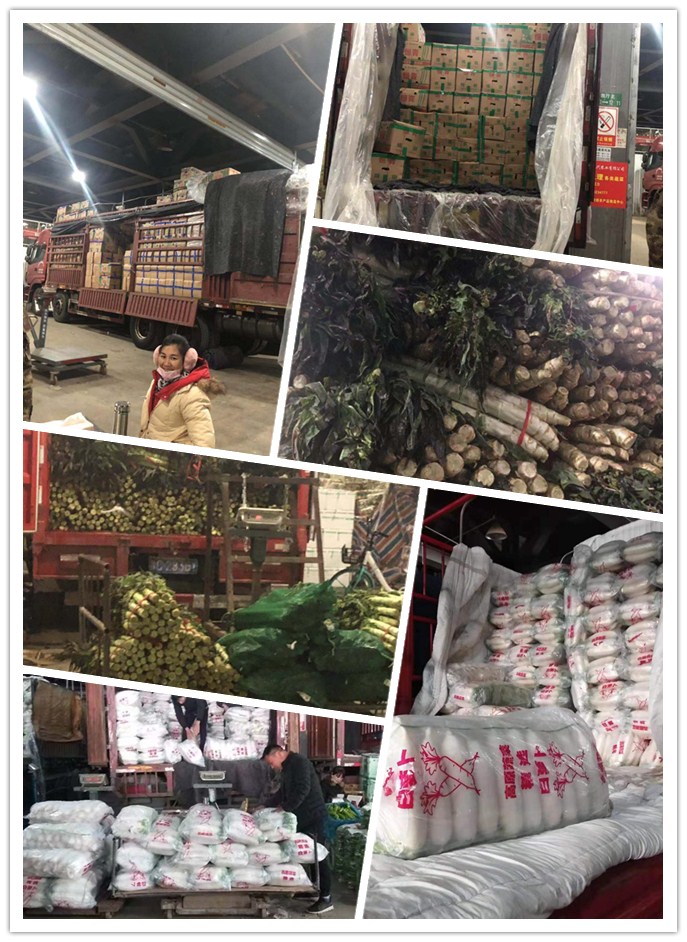 w66.利来(中国区)_来利国际旗舰厅