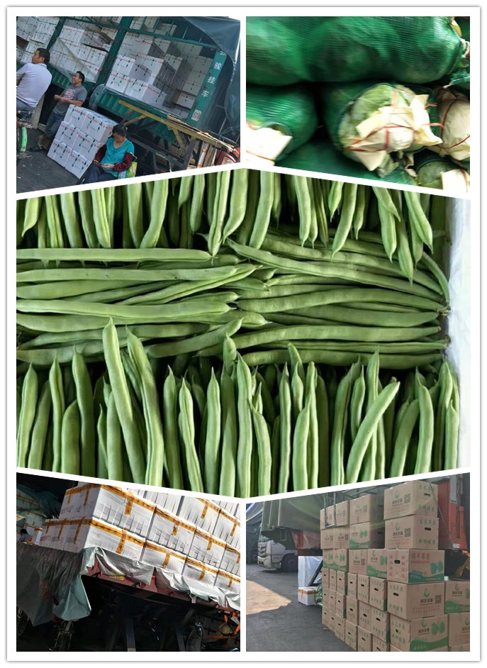 w66.利来(中国区)_来利国际旗舰厅