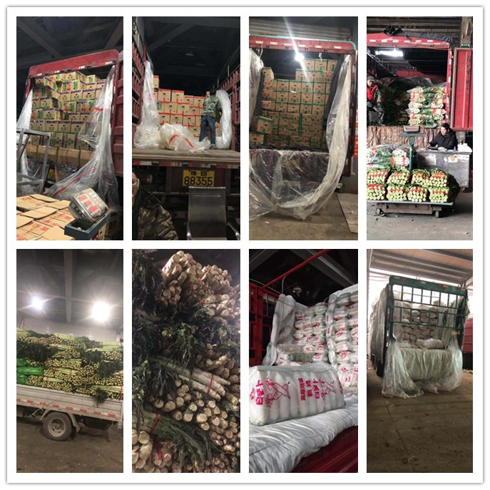 w66.利来(中国区)_来利国际旗舰厅