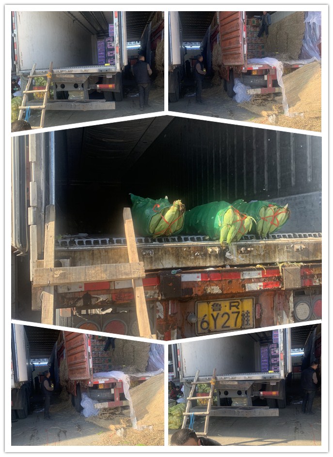 w66.利来(中国区)_来利国际旗舰厅