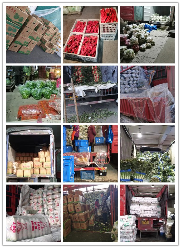 w66.利来(中国区)_来利国际旗舰厅