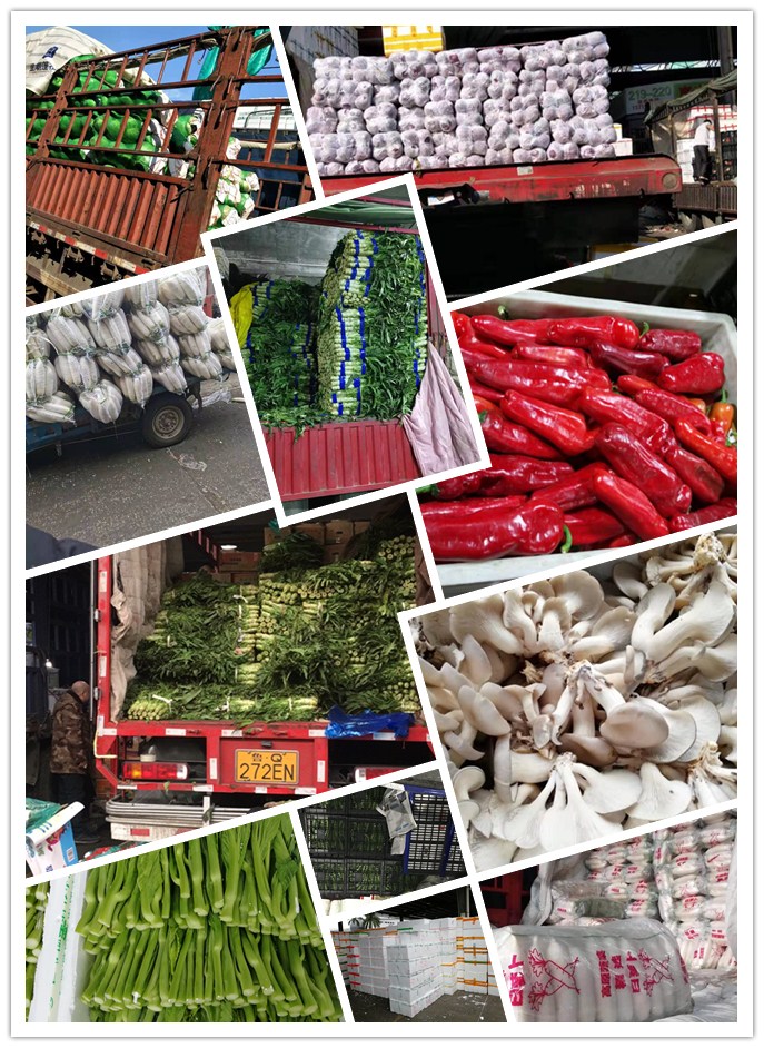 w66.利来(中国区)_来利国际旗舰厅