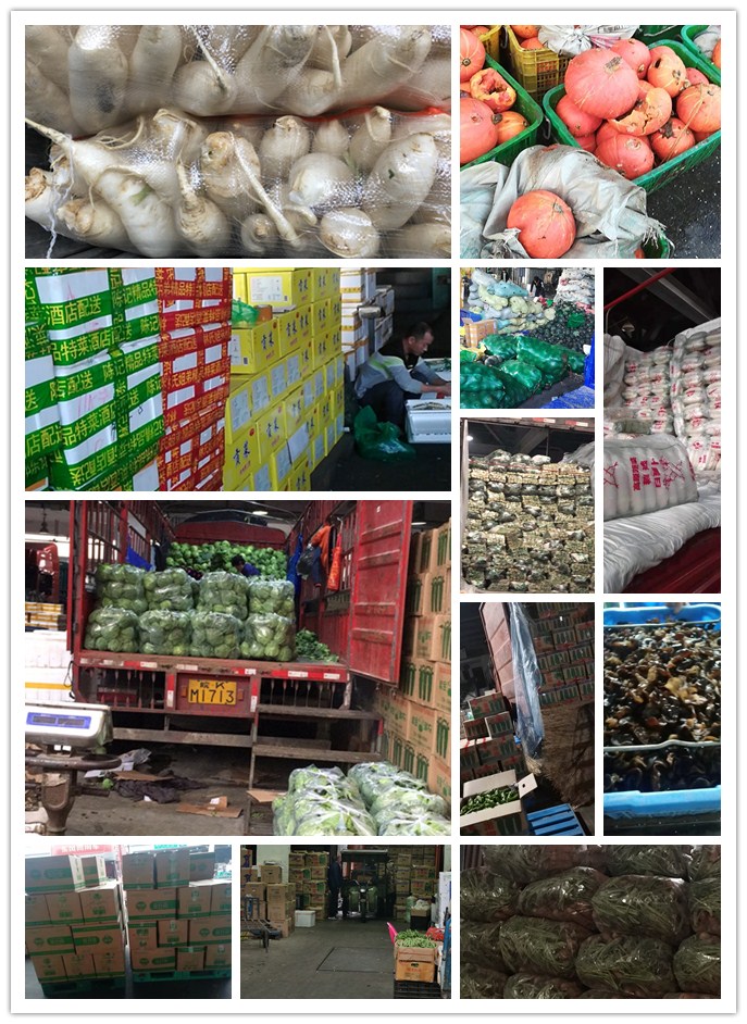 w66.利来(中国区)_来利国际旗舰厅