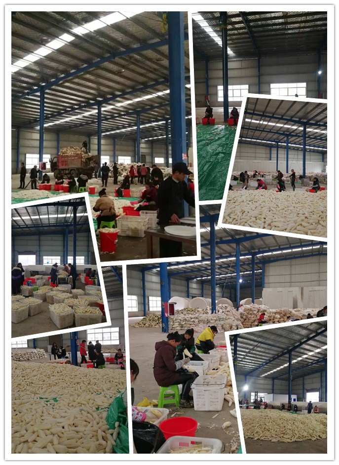 w66.利来(中国区)_来利国际旗舰厅