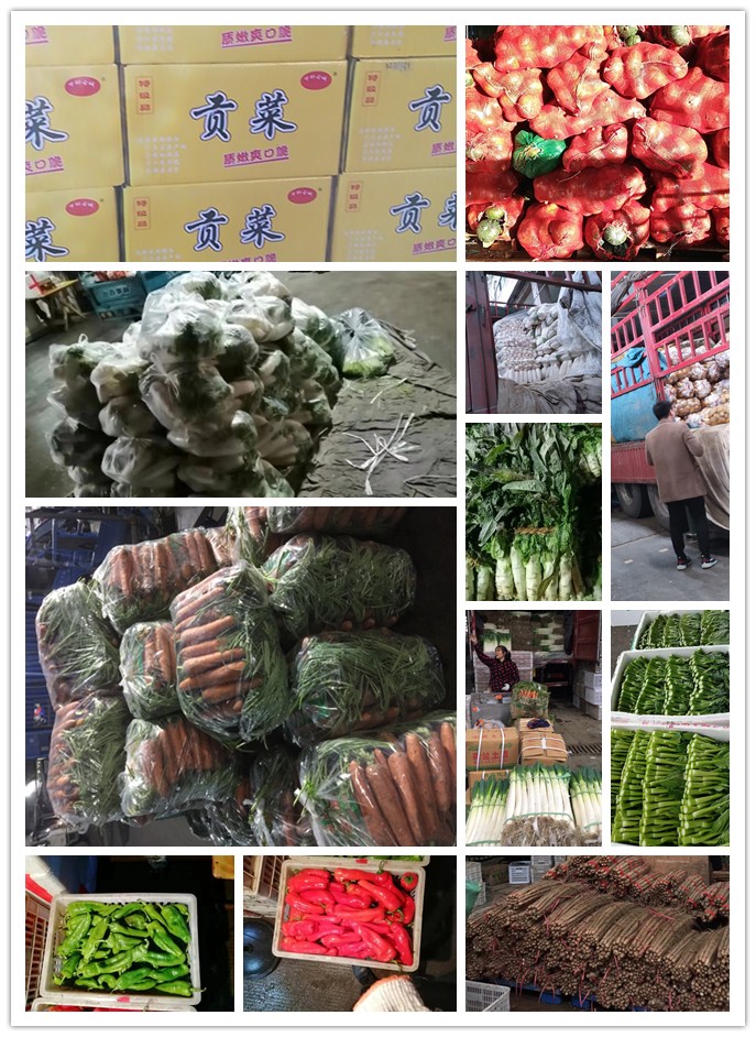 w66.利来(中国区)_来利国际旗舰厅