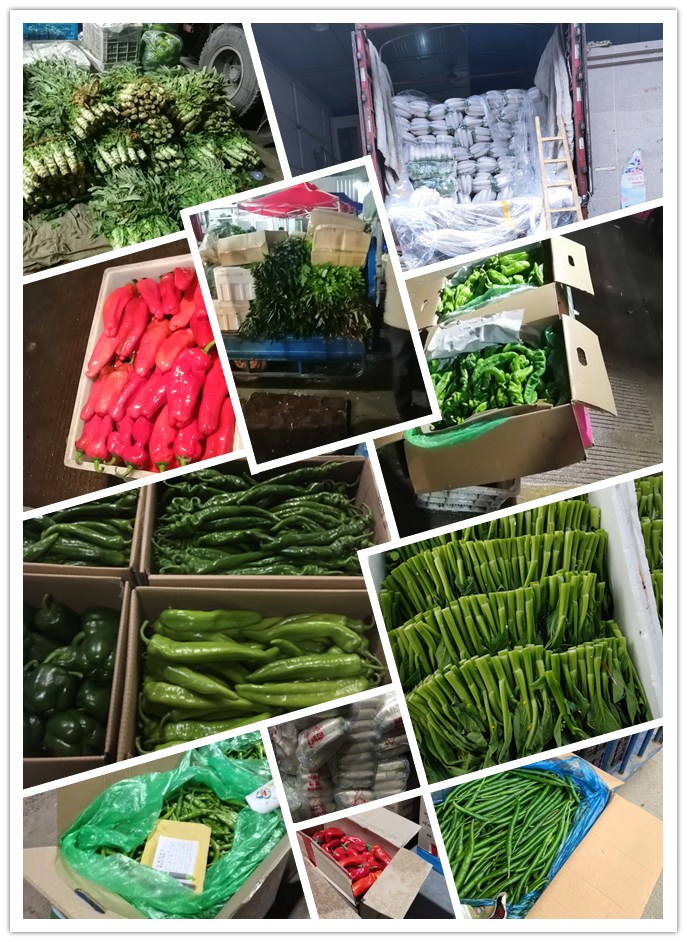 w66.利来(中国区)_来利国际旗舰厅