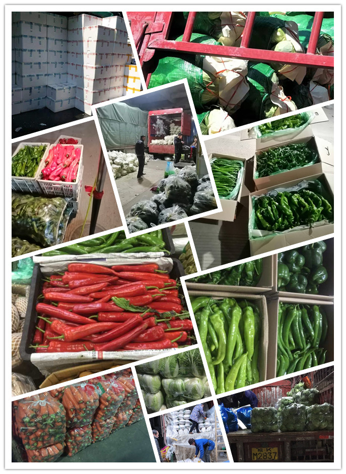 w66.利来(中国区)_来利国际旗舰厅