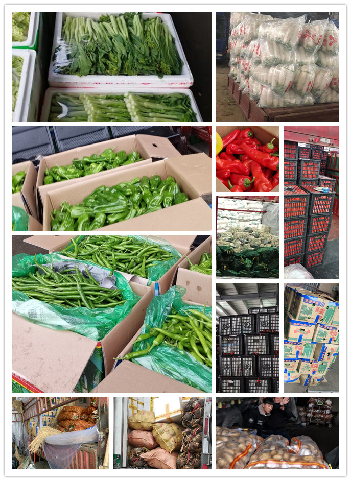 w66.利来(中国区)_来利国际旗舰厅