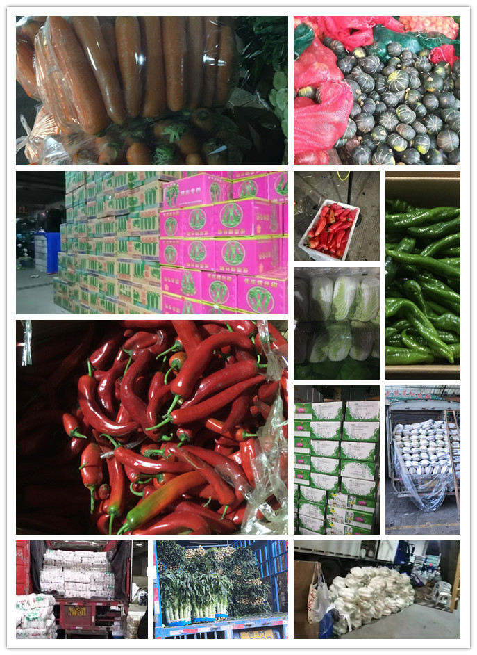 w66.利来(中国区)_来利国际旗舰厅