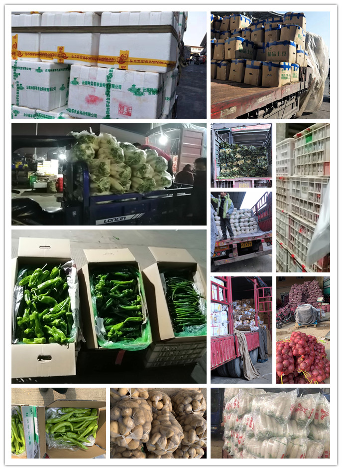 w66.利来(中国区)_来利国际旗舰厅