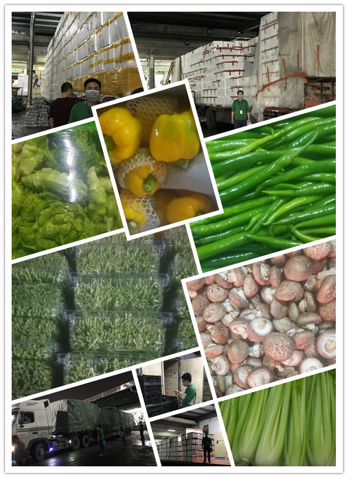 w66.利来(中国区)_来利国际旗舰厅