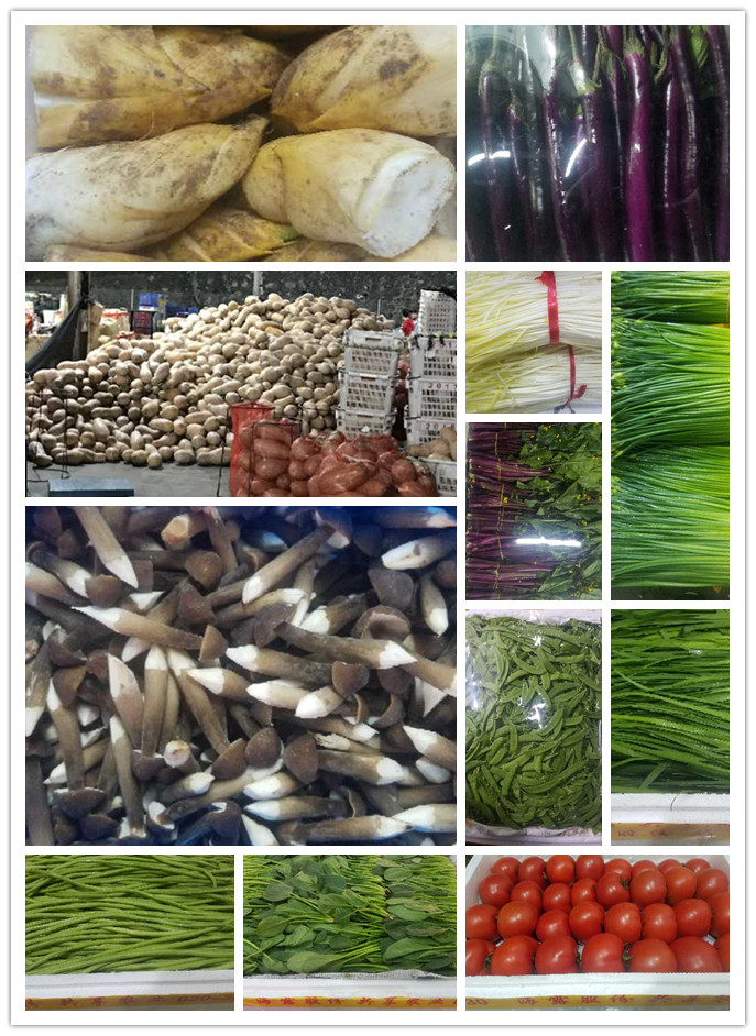 w66.利来(中国区)_来利国际旗舰厅