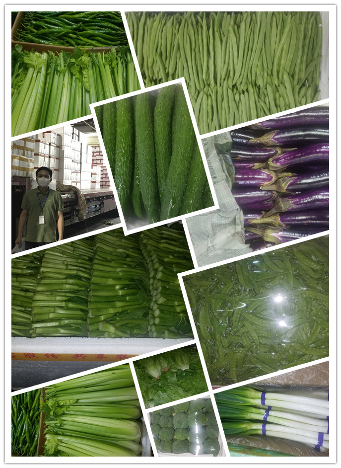 w66.利来(中国区)_来利国际旗舰厅