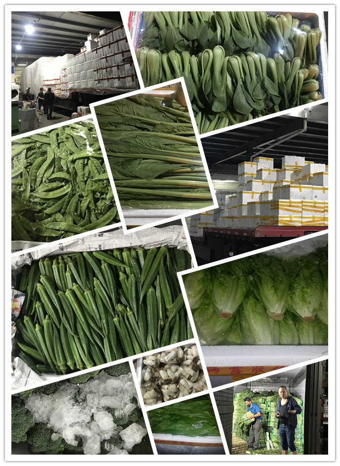 w66.利来(中国区)_来利国际旗舰厅