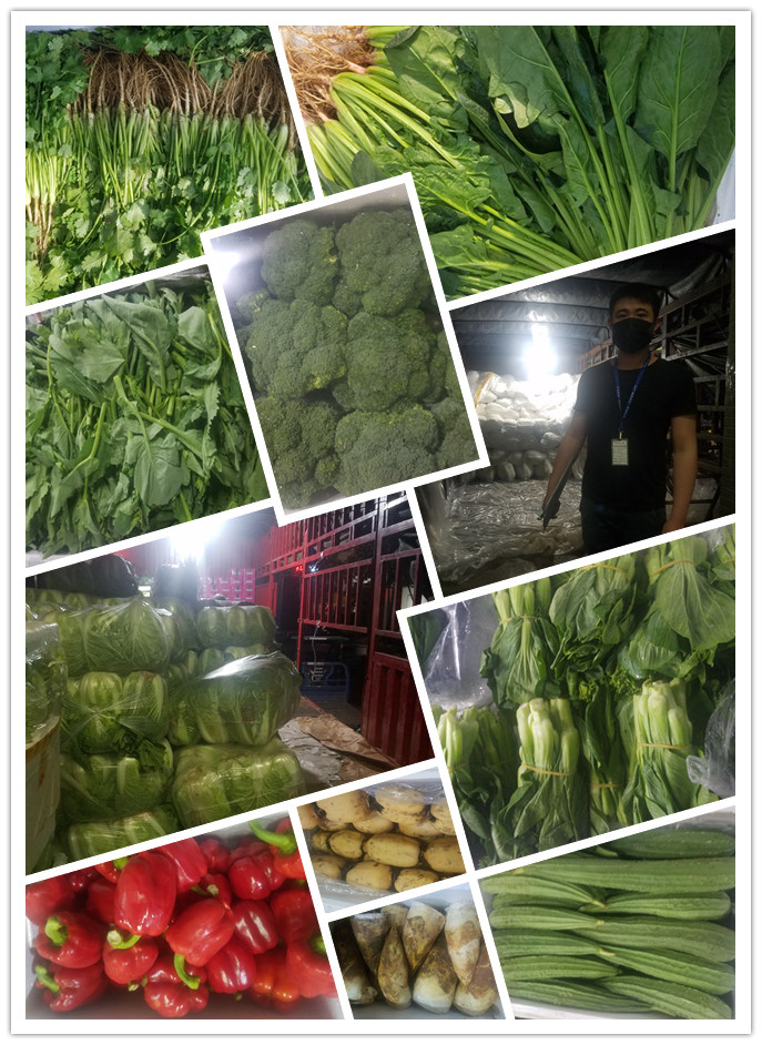 w66.利来(中国区)_来利国际旗舰厅