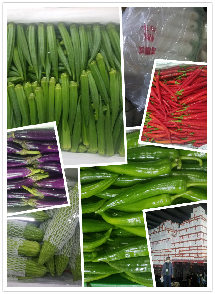 w66.利来(中国区)_来利国际旗舰厅