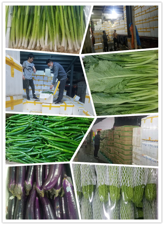 w66.利来(中国区)_来利国际旗舰厅