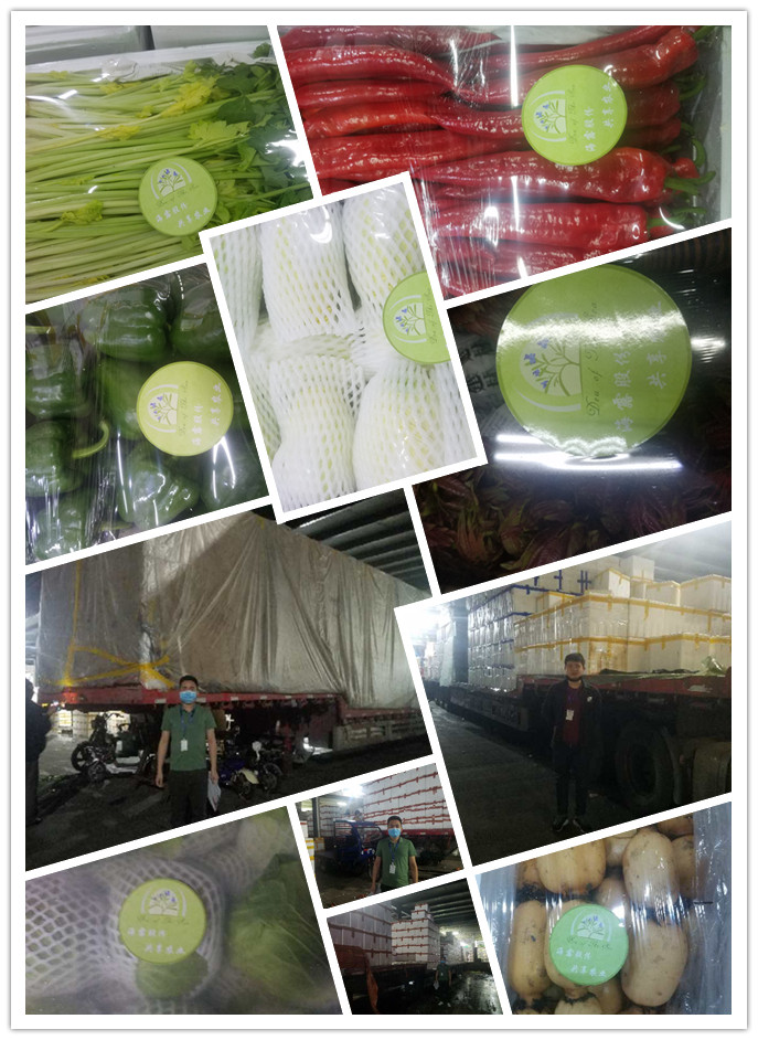 w66.利来(中国区)_来利国际旗舰厅