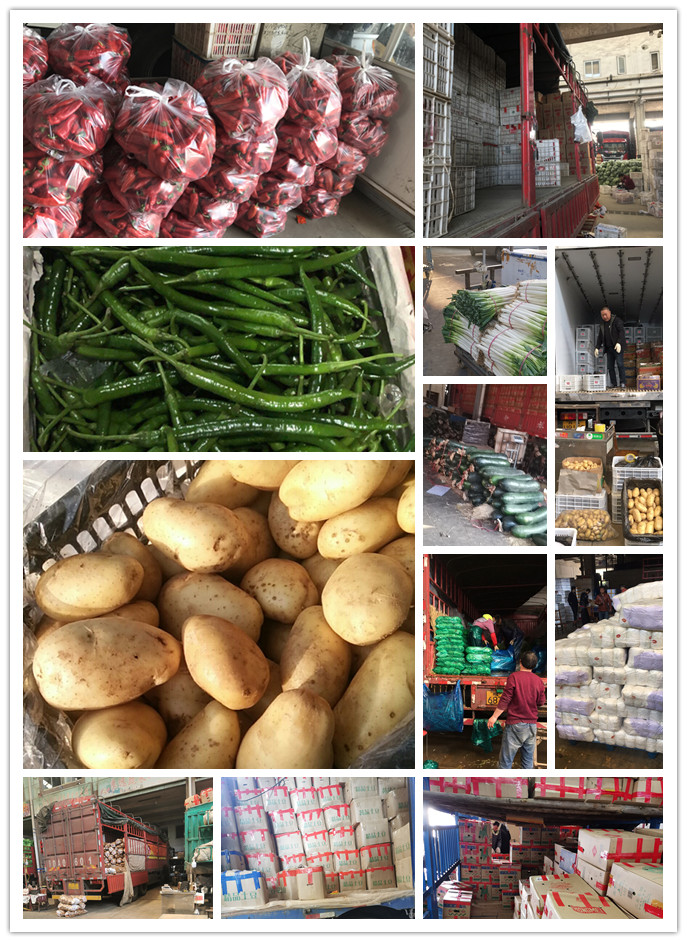 w66.利来(中国区)_来利国际旗舰厅