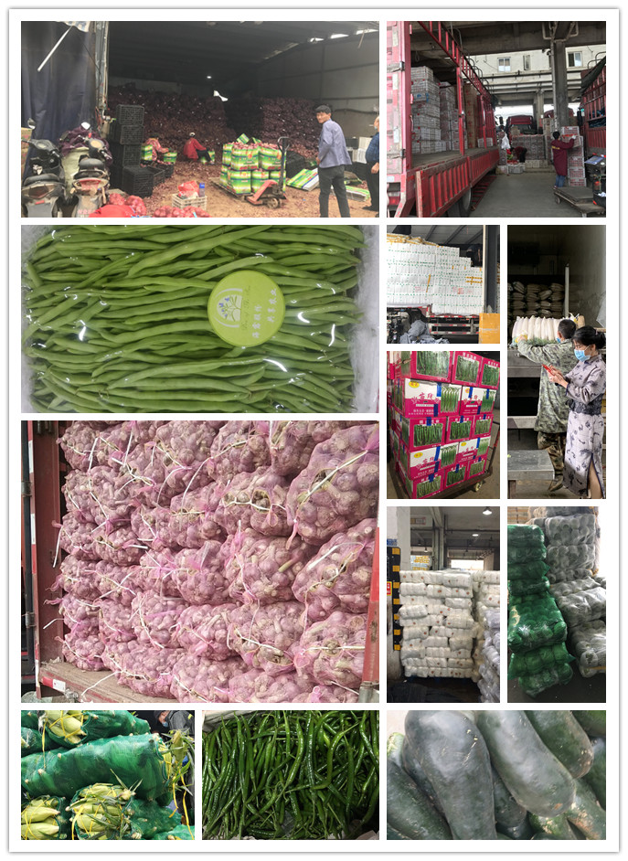 w66.利来(中国区)_来利国际旗舰厅