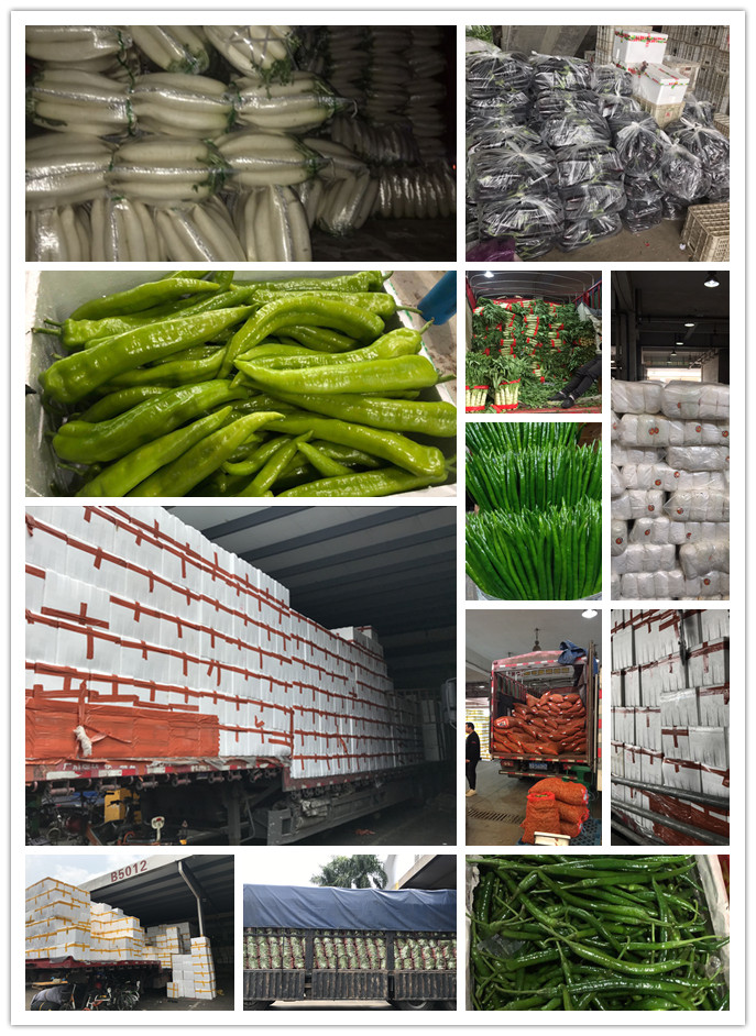 w66.利来(中国区)_来利国际旗舰厅