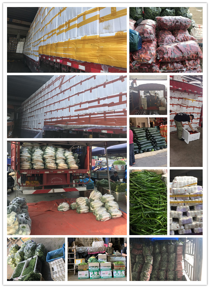 w66.利来(中国区)_来利国际旗舰厅