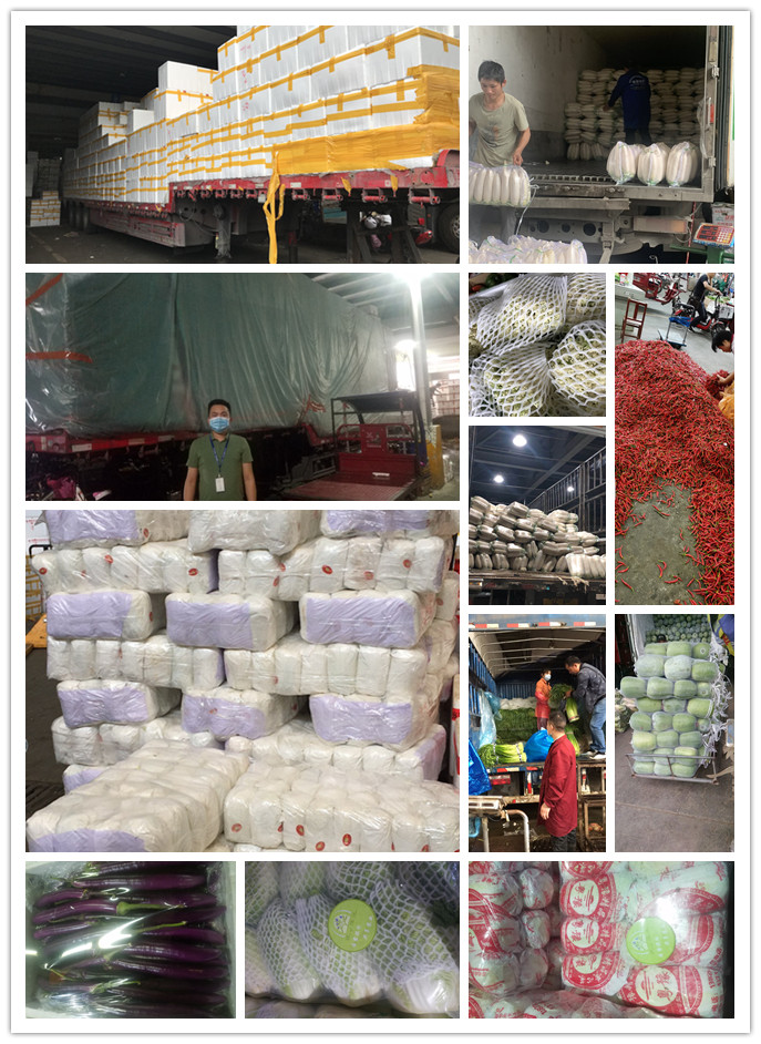 w66.利来(中国区)_来利国际旗舰厅