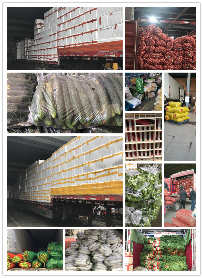 w66.利来(中国区)_来利国际旗舰厅