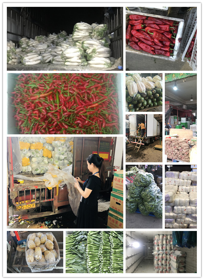 w66.利来(中国区)_来利国际旗舰厅