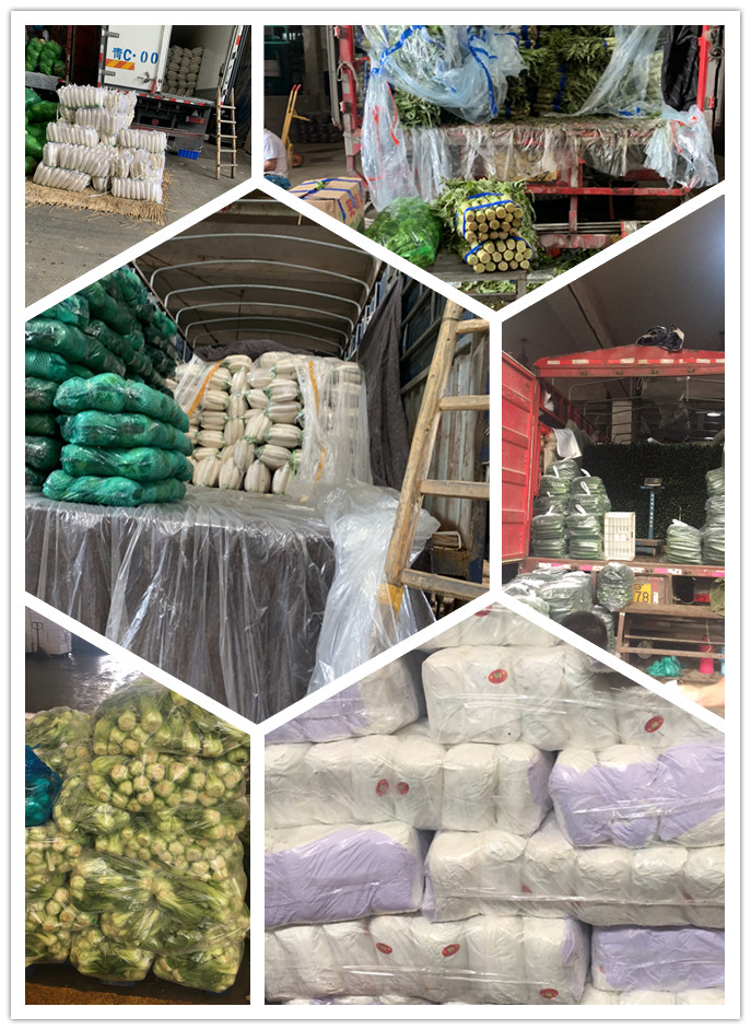 w66.利来(中国区)_来利国际旗舰厅