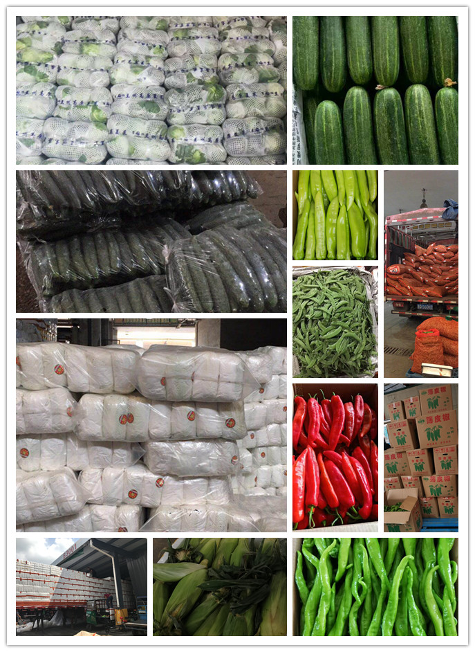 w66.利来(中国区)_来利国际旗舰厅