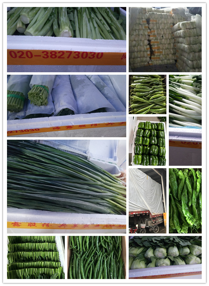 w66.利来(中国区)_来利国际旗舰厅