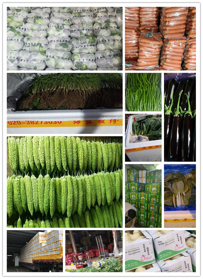 w66.利来(中国区)_来利国际旗舰厅