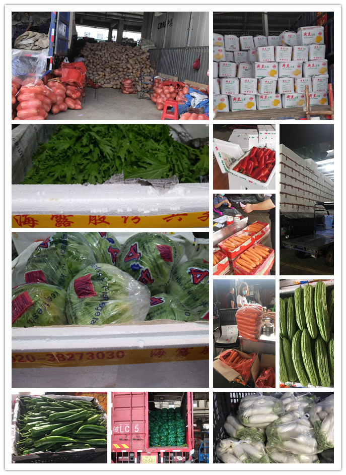 w66.利来(中国区)_来利国际旗舰厅