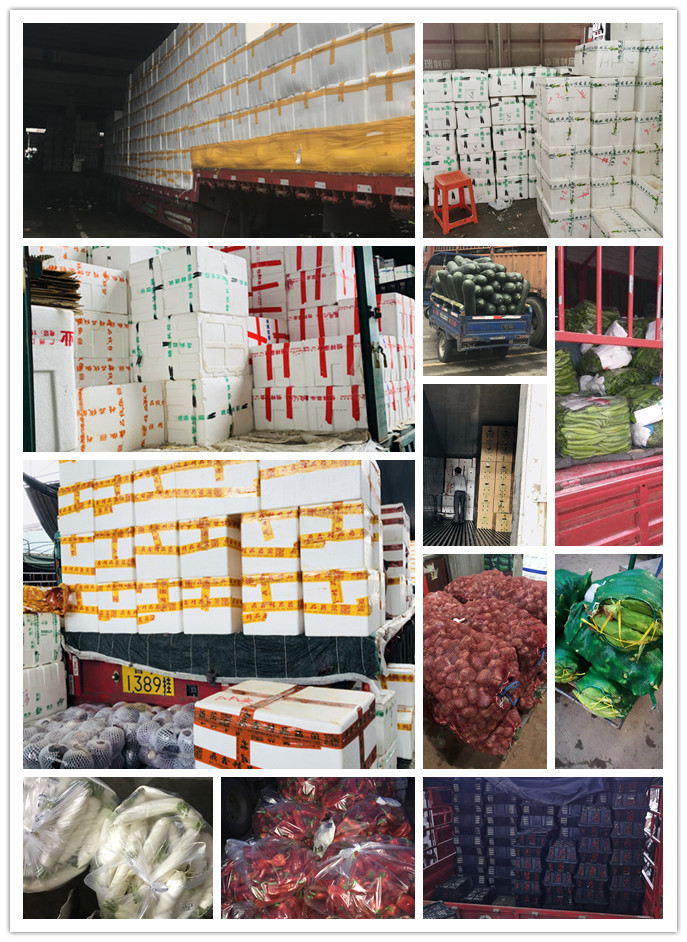 w66.利来(中国区)_来利国际旗舰厅