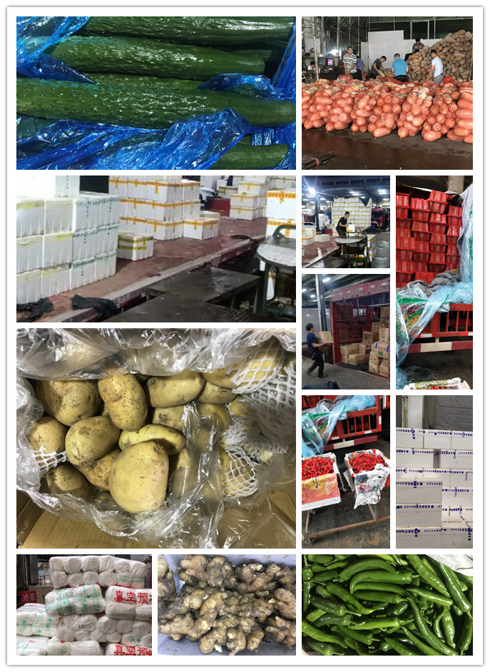 w66.利来(中国区)_来利国际旗舰厅