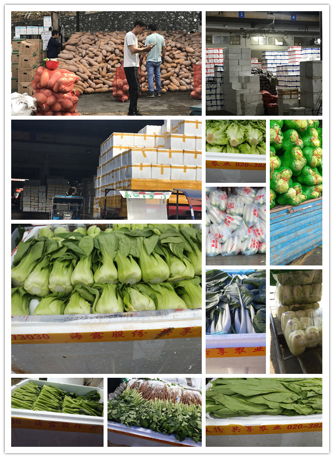 w66.利来(中国区)_来利国际旗舰厅