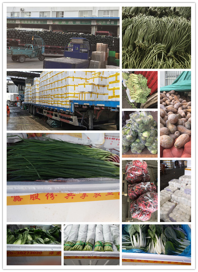 w66.利来(中国区)_来利国际旗舰厅