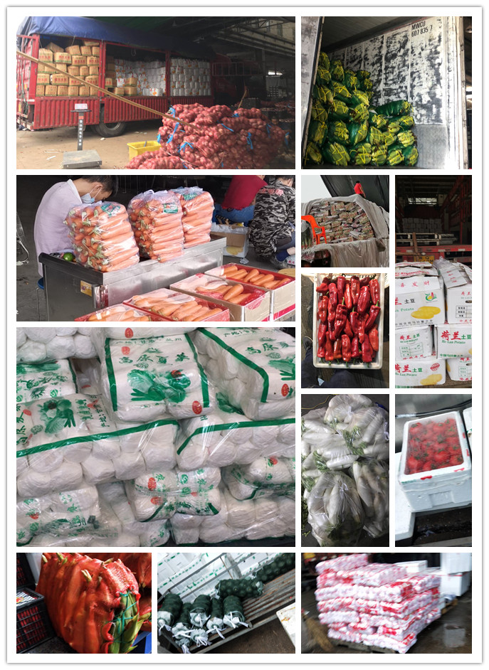 w66.利来(中国区)_来利国际旗舰厅