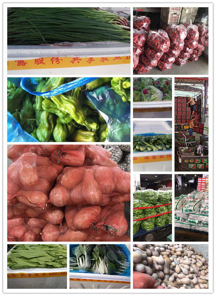 w66.利来(中国区)_来利国际旗舰厅