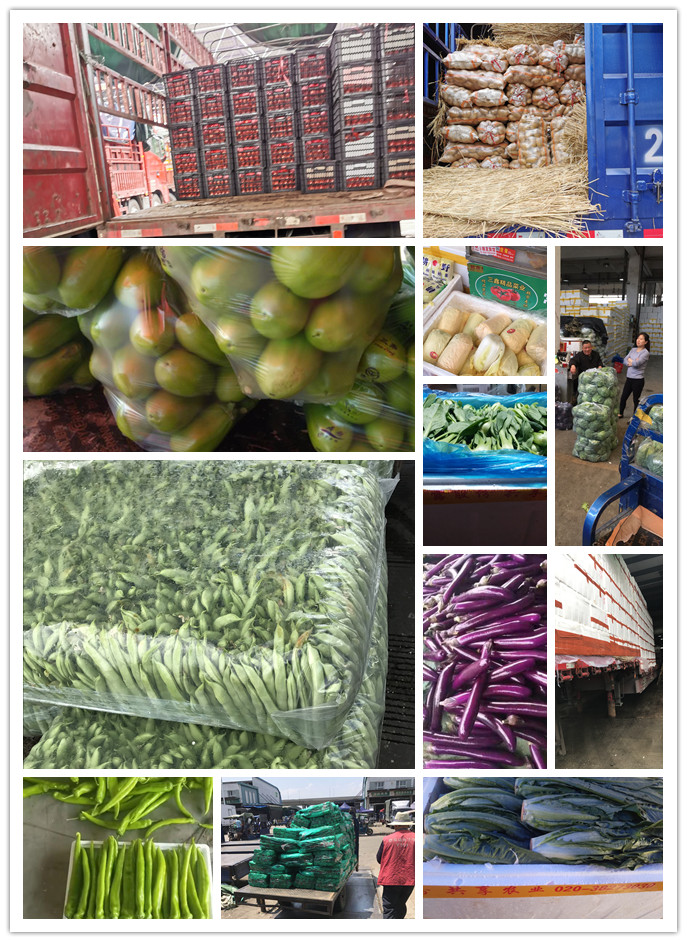 w66.利来(中国区)_来利国际旗舰厅