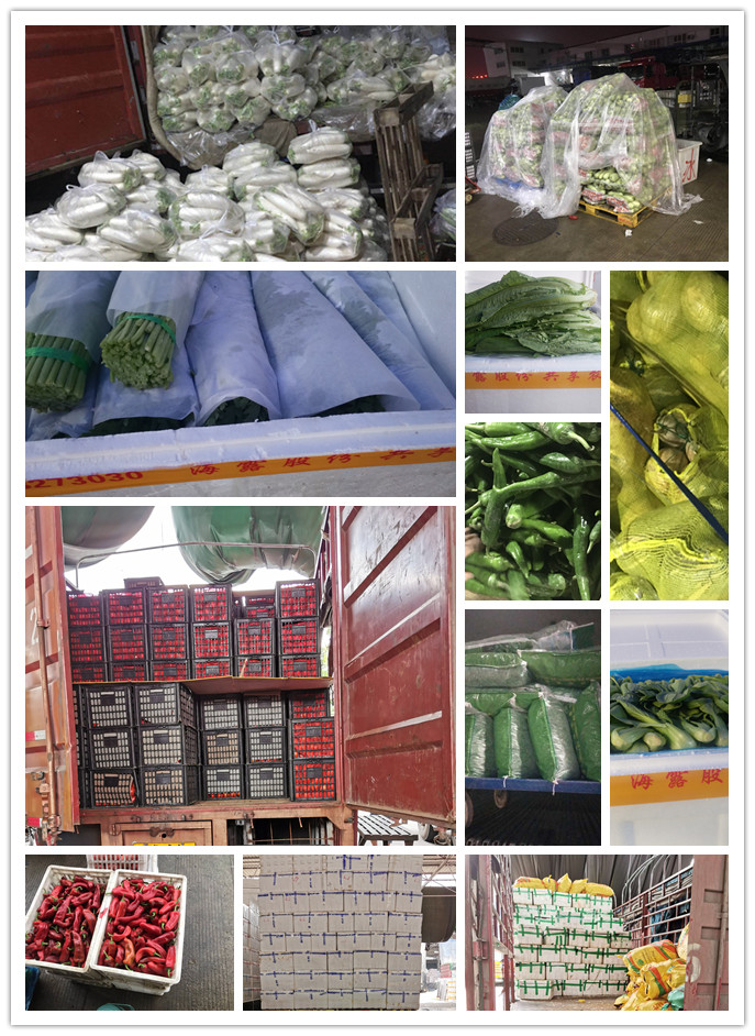 w66.利来(中国区)_来利国际旗舰厅