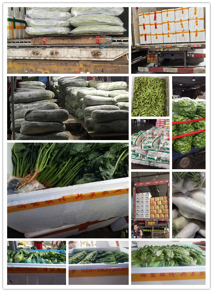 w66.利来(中国区)_来利国际旗舰厅