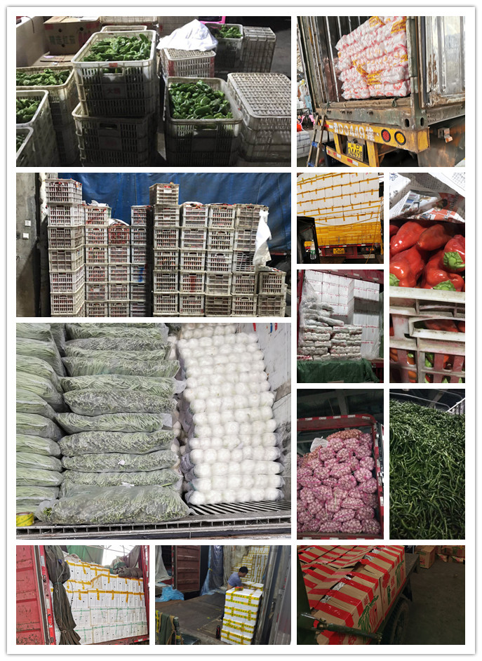 w66.利来(中国区)_来利国际旗舰厅